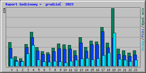 Raport Godzinowy -  grudzień 2023