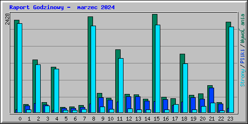 Raport Godzinowy -  marzec 2024