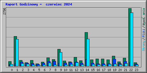 Raport Godzinowy -  czerwiec 2024