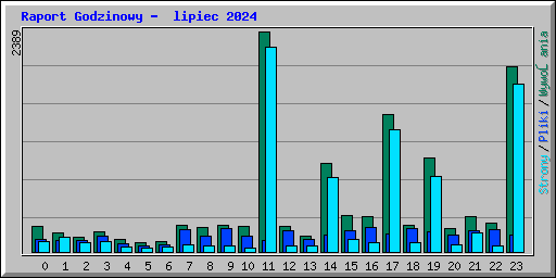 Raport Godzinowy -  lipiec 2024