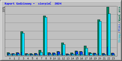 Raport Godzinowy -  sierpień 2024