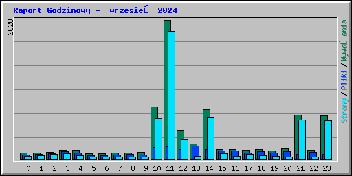 Raport Godzinowy -  wrzesień 2024