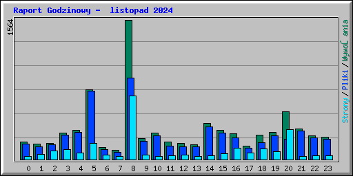 Raport Godzinowy -  listopad 2024