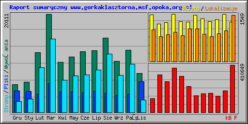 Raport sumaryczny www.gorkaklasztorna.msf.opoka.org.pl